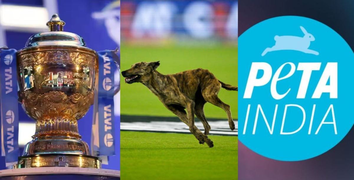 peta demand fined on dog misbehaved during gt vs mi in ipl 2024