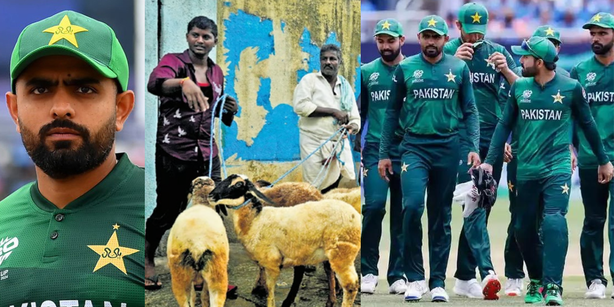 former-player-mohammad-hafeez-sait team pakistan team qurbani-kay-janwar-hazir-hon